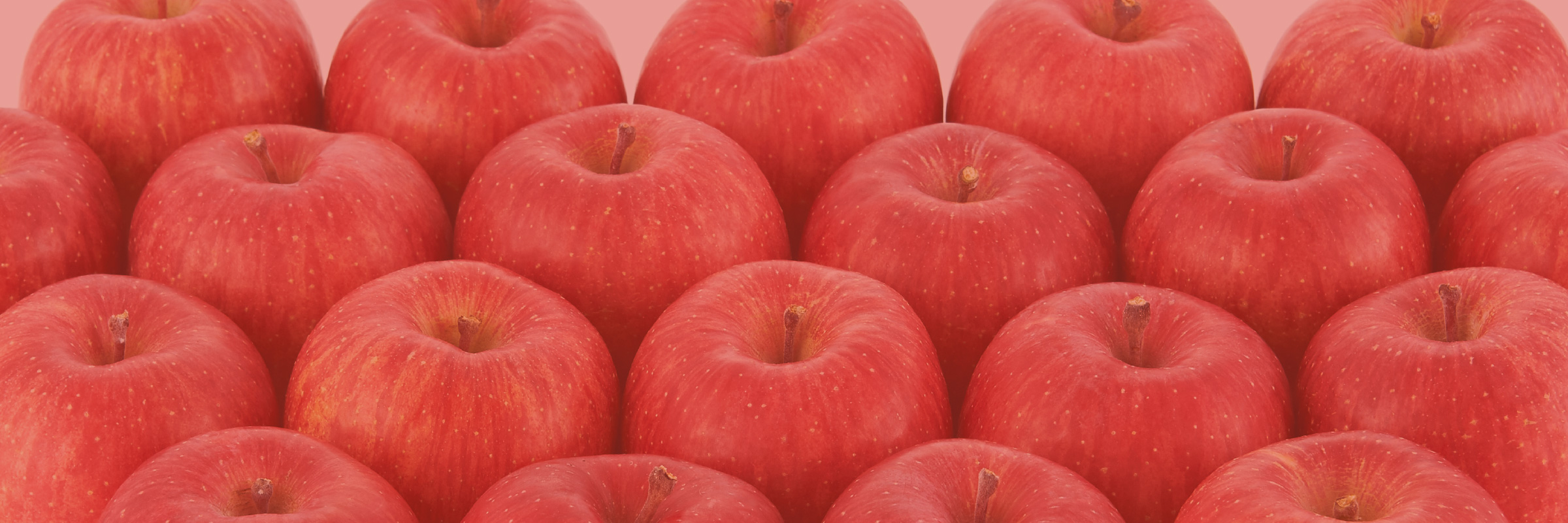 東根のりんごの食べ頃と保存方法